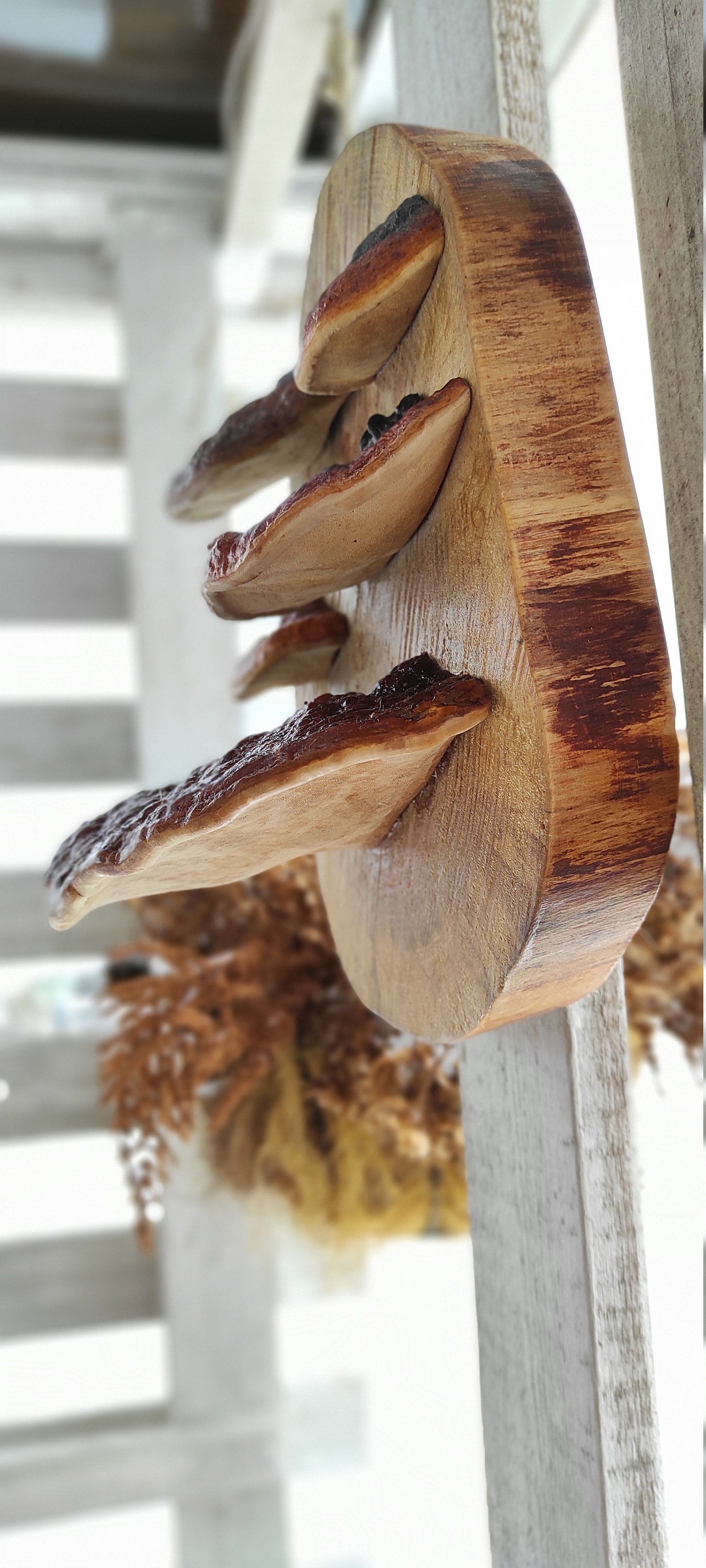 Wandkunst. Holz-Wand-Kunst. Waldpilz. Kunstobjekt. Wand-Dekor. | Etsy