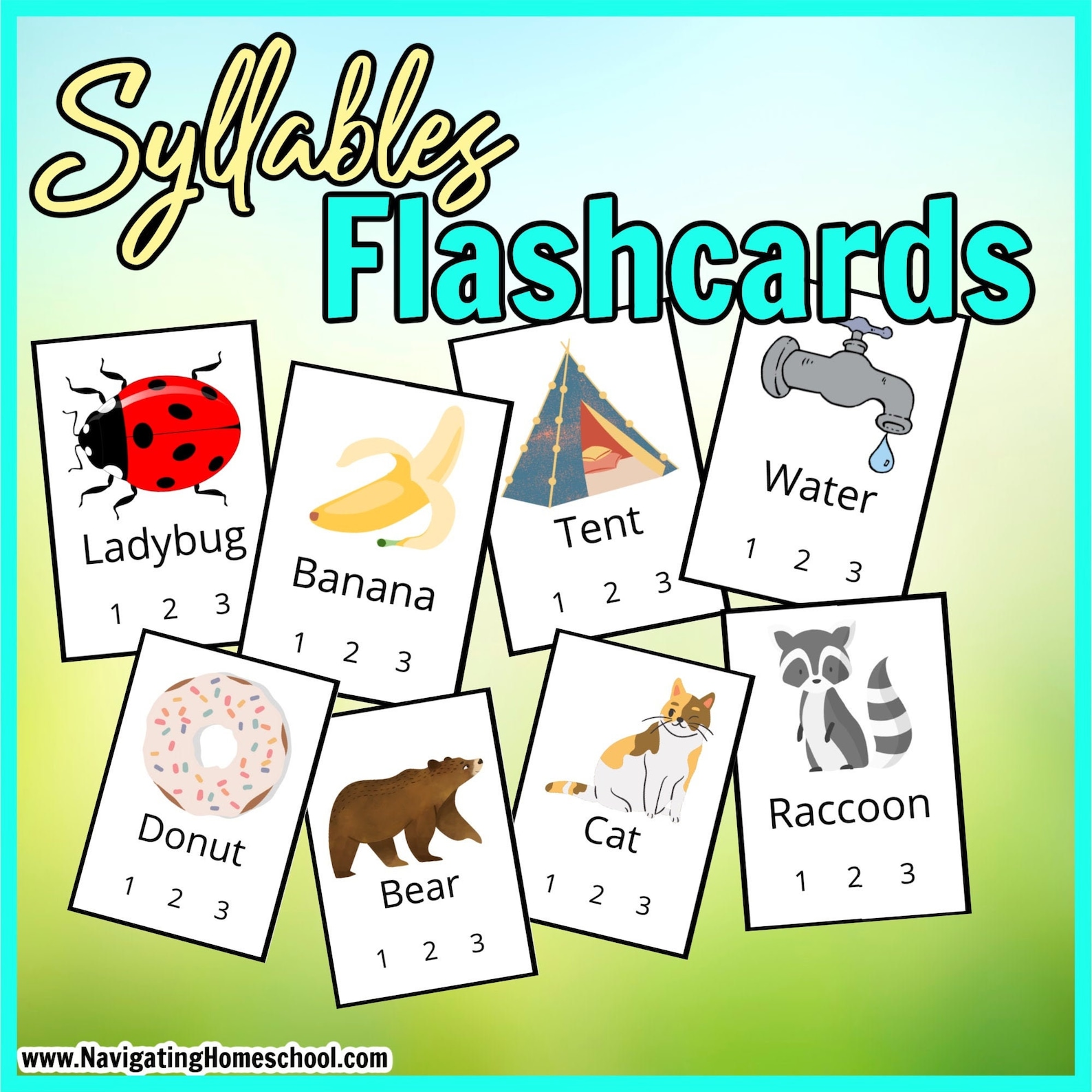 Vocabulary cards