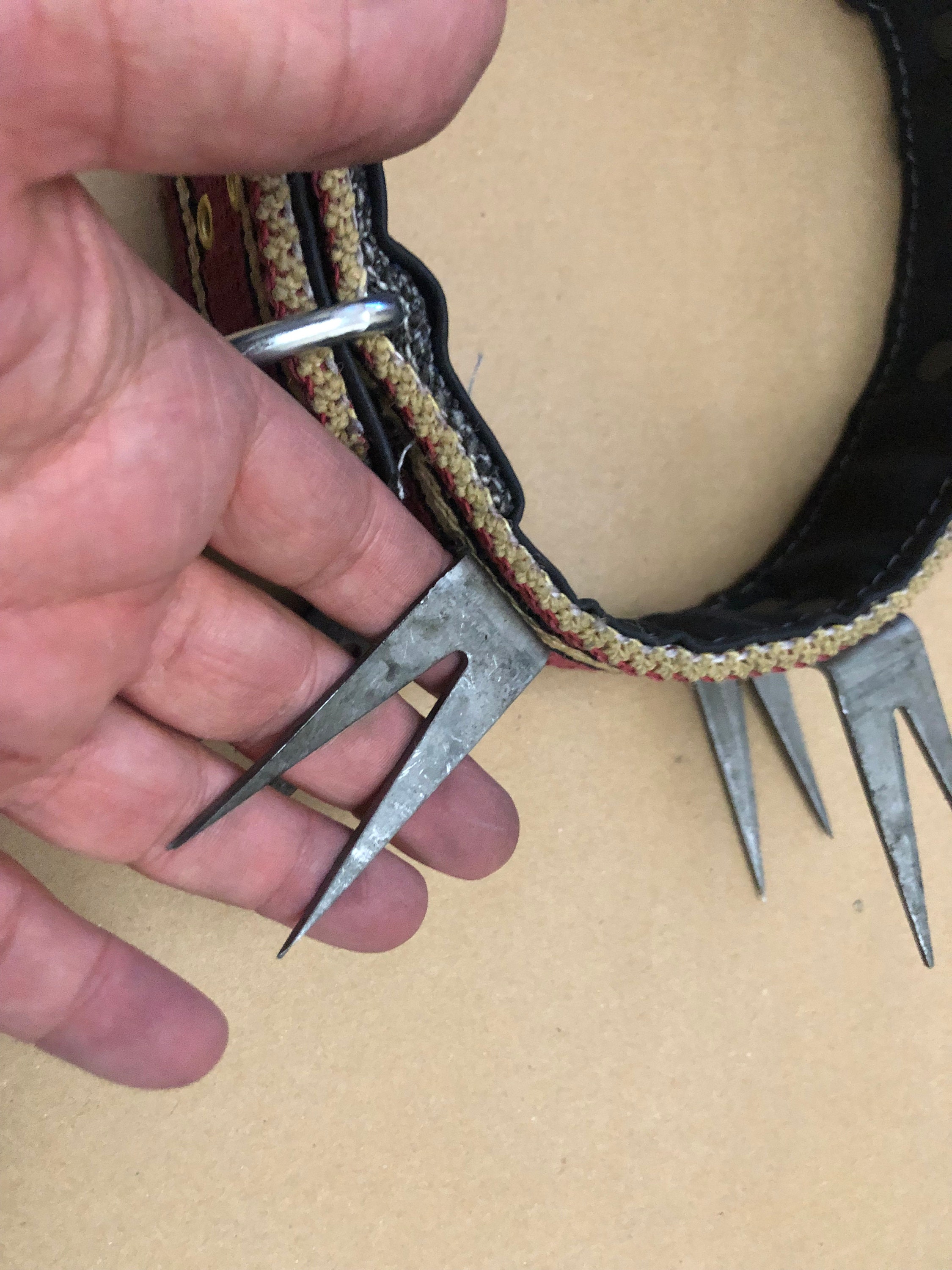 Wolf collar for sale cheap
