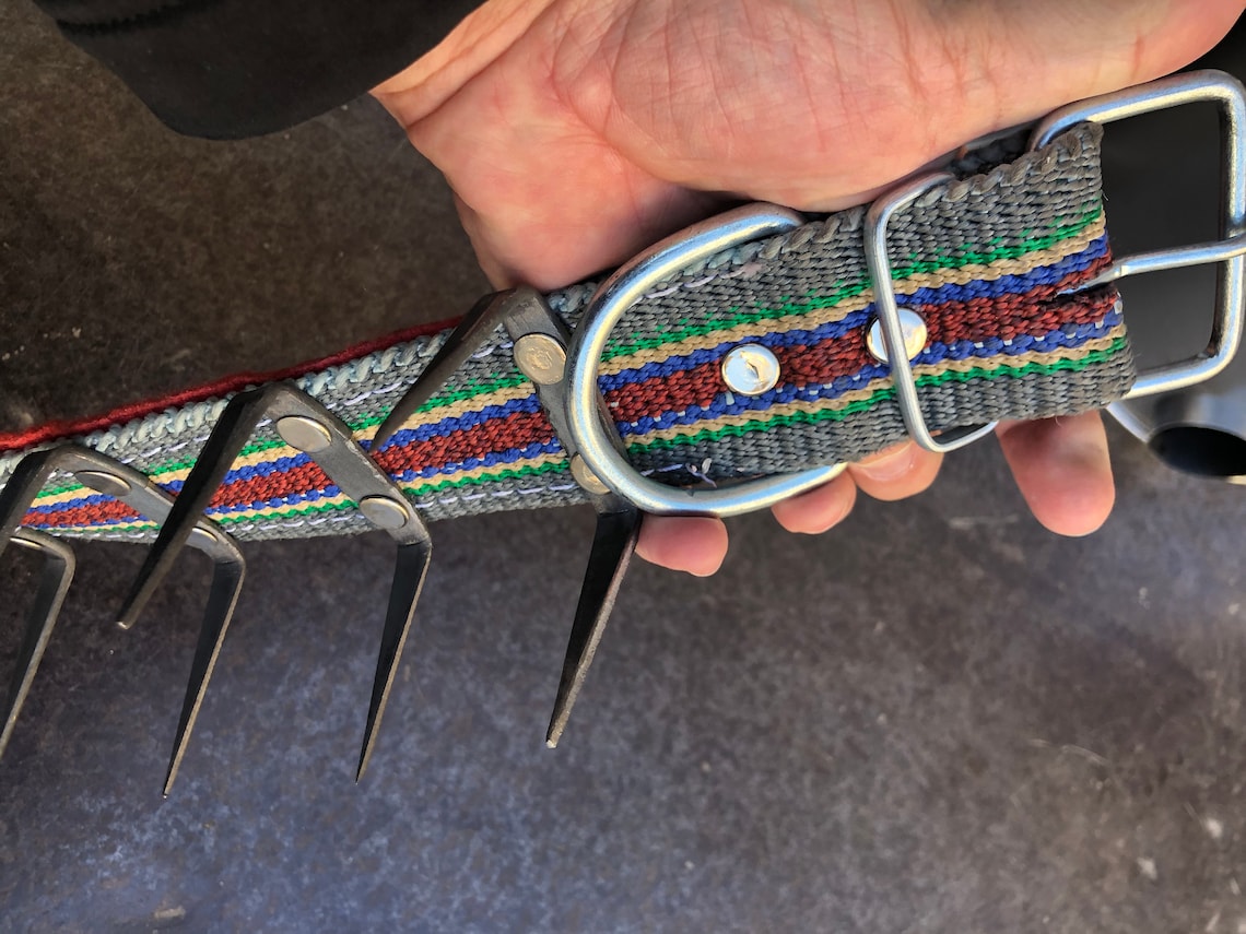 Turkish Kangal dog collar agains wolf attack iron spiked hand Etsy