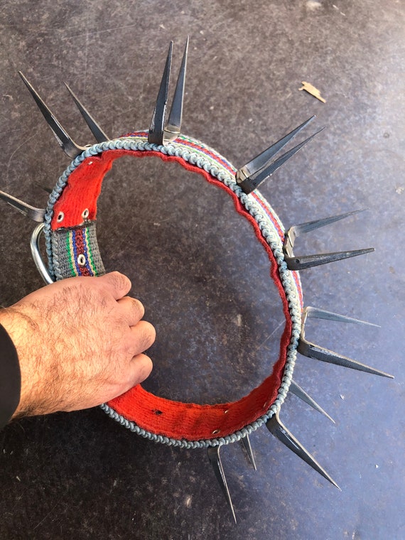 Turkish Kangal dog collar agains wolf attack iron spiked hand Etsy
