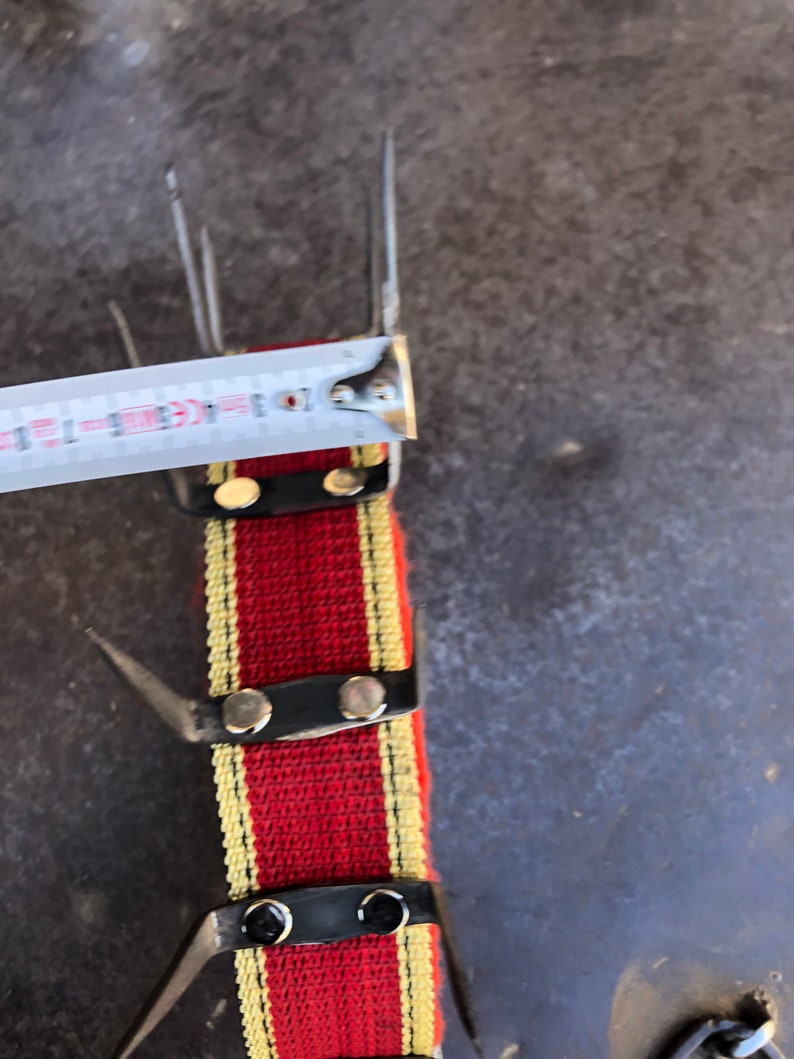 Turkish Kangal dog collar agains wolf attack iron spiked hand Etsy