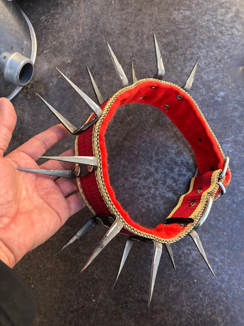 Turkish Kangal dog collar agains wolf attack iron spiked hand Etsy