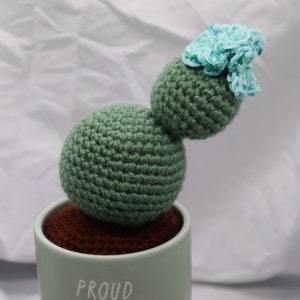 Cactus; Traditional Crochet