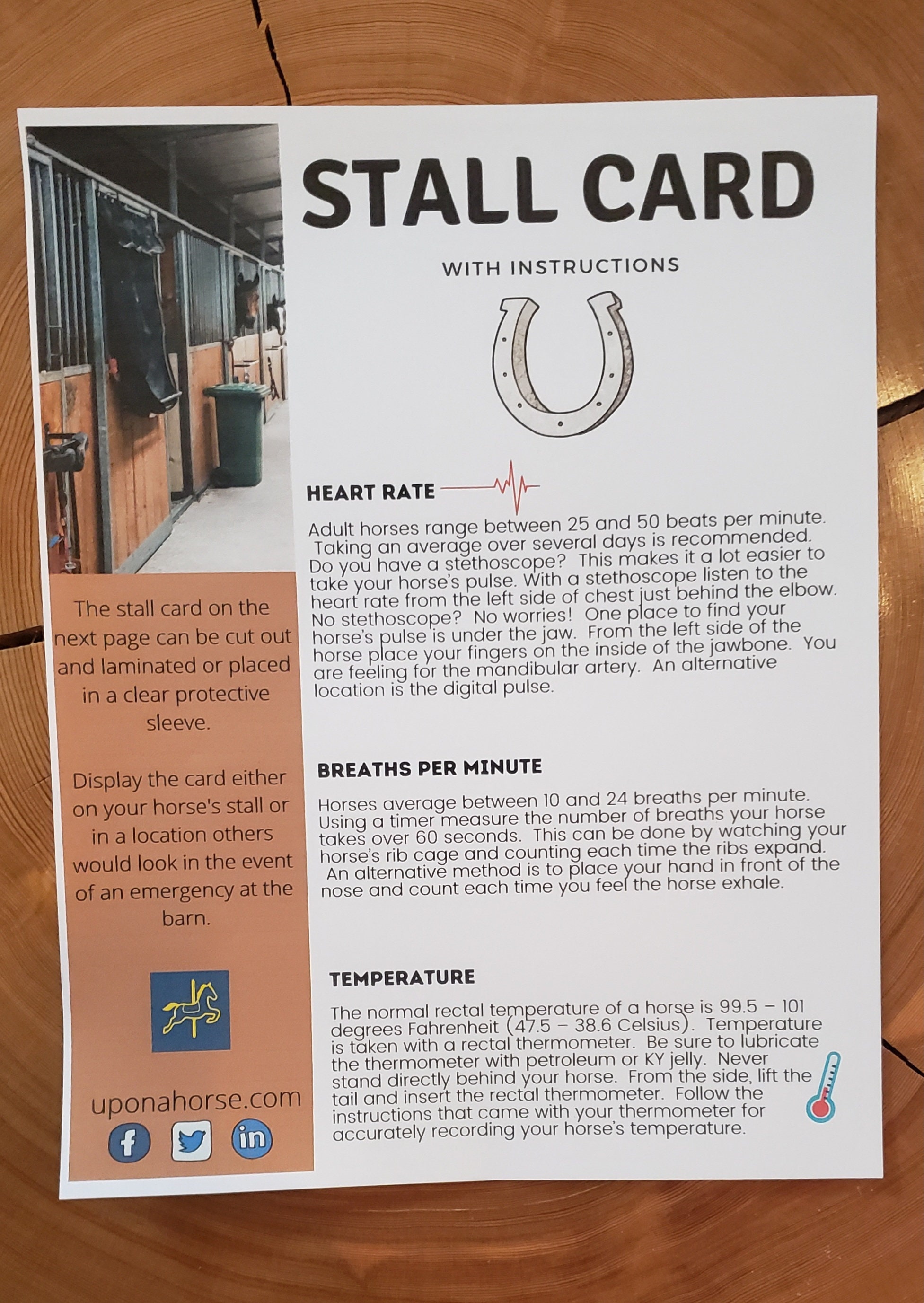 Horse Stall Card with instructions for taking vitals