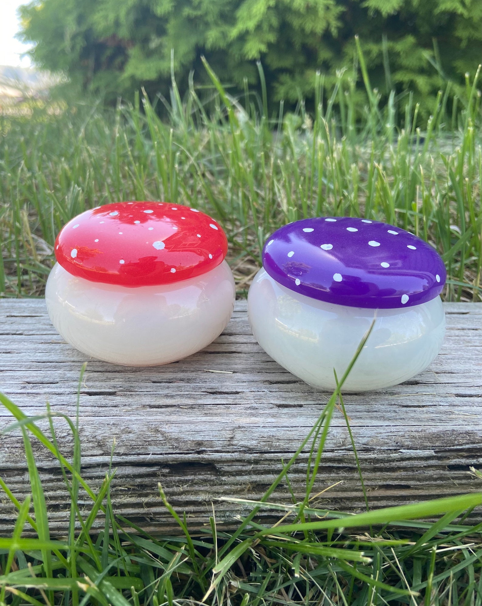 Mushroom Resin Jar Glow in the Dark Stash Jar Jewelry Etsy