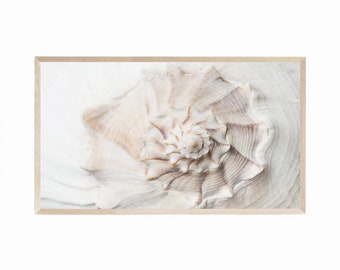 Samsung Frame TV Art Beach Seashell, Seashell Frame TV Art, Frame TV Art Coastal Decor, Beach Tv Art, Coastal Tv Art, Coastal Digital Tv Art