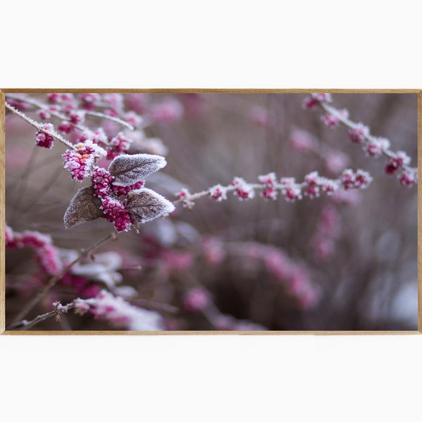 Samsung Frame TV Art Winter Berries with Frost, Frame TV Artwork Frost on Red Berries, Winter Macro Photography, Photo of Berries in Winter