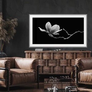 May include: A black and white photograph of a single magnolia flower in bloom against a dark background.