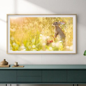 Easter Bunny Frame TV Art, Samsung Frame TV Art Cute Easter Bunny Photo, Easter Bunny TV Art, Easter Bunny Photography, Cute Rabbit Photo image 2