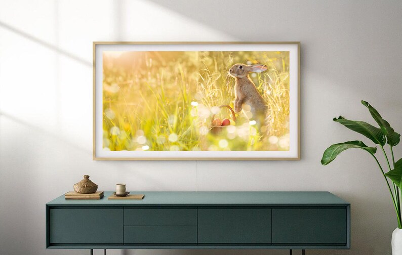 Easter Bunny Frame TV Art, Samsung Frame TV Art Cute Easter Bunny Photo, Easter Bunny TV Art, Easter Bunny Photography, Cute Rabbit Photo image 2