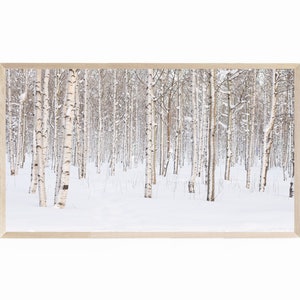 Wintery White Birches Texture Art - Made By Barb - plaster art