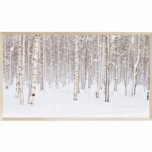 Aspen Trees TV Art, Samsung Frame TV Art Winter Landscape Photography, Frame TV Art Aspen Trees in Snow, Tv Art Winter Landscape Photo, 16:9