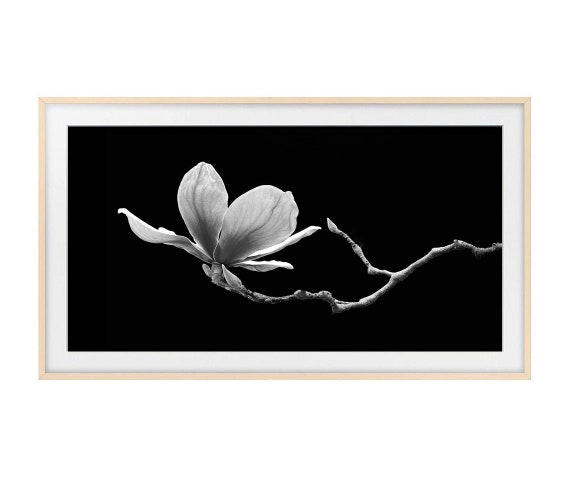 Black and White Botanical Photo for Samsung Frame TV, Frame TV Art Black & White Flower Photo, Frame TV Art Black and White Photography