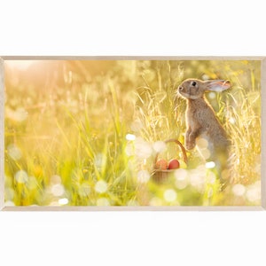 Easter Bunny Frame TV Art, Samsung Frame TV Art Cute Easter Bunny Photo, Easter Bunny TV Art, Easter Bunny Photography, Cute Rabbit Photo image 1