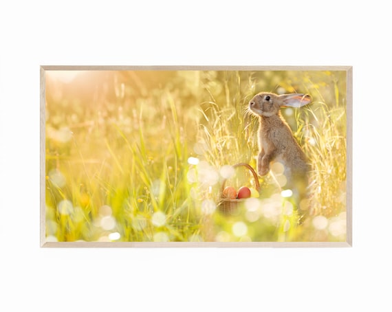 Easter Bunny Frame TV Art, Samsung Frame TV Art Cute Easter Bunny Photo, Easter Bunny TV Art, Easter Bunny Photography, Cute Rabbit Photo