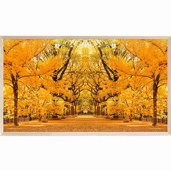 The Mall in Central Park NYC Samsung Frame TV Art,  Autumn Landscape in New York City, Frame TV Art Fall Foliage, Frame Tv Art Central Park