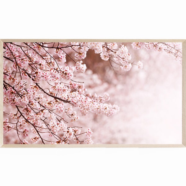 Samsung Frame TV Art Spring Cherry Blossoms