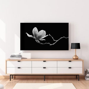 May include: A black and white photograph of a single magnolia flower on a branch against a black background. The photo is displayed on a television screen above a white dresser with four drawers.