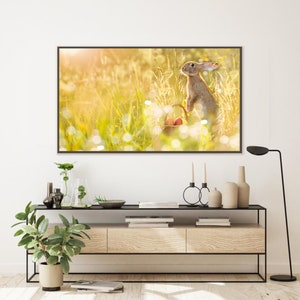 Easter Bunny Frame TV Art, Samsung Frame TV Art Cute Easter Bunny Photo, Easter Bunny TV Art, Easter Bunny Photography, Cute Rabbit Photo image 3
