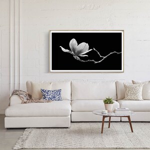 May include: A black and white photograph of a single magnolia flower in bloom against a black background. The flower is delicate and graceful, with petals that are slightly curled at the edges. The image is framed in a light wood frame and is hanging on a white wall above a white sectional sofa.
