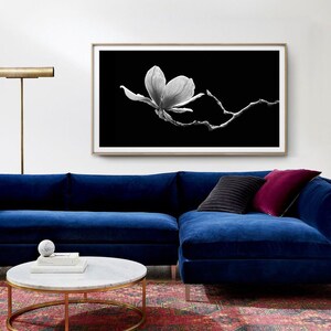 May include: A blue velvet sectional sofa with a black and burgundy throw pillow. The sofa is in front of a white wall with a black and white framed print of a magnolia flower.