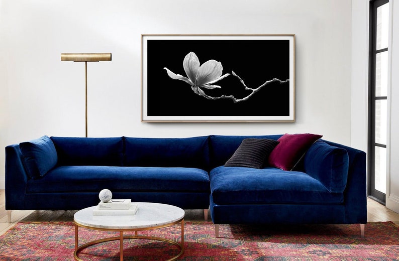May include: A blue velvet sectional sofa with a black and burgundy throw pillow. The sofa is in front of a white wall with a black and white framed print of a magnolia flower.