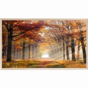 Peut inclure: Une impression encadrée d'un paysage forestier d'automne. Le chemin forestier est bordé d'arbres aux feuilles orange et jaunes. La lumière du soleil traverse les arbres, créant une ambiance chaleureuse et lumineuse.
