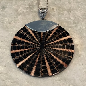 Brown and Beige Nautilus Shell Round Slice Pendant w Sterling Accent and 18” Sterling Necklace