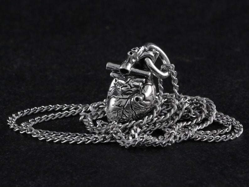 Op de afbeelding: Een zilveren anatomisch hart hanger ketting met een gedetailleerd ontwerp. De ketting heeft een zilveren ketting.