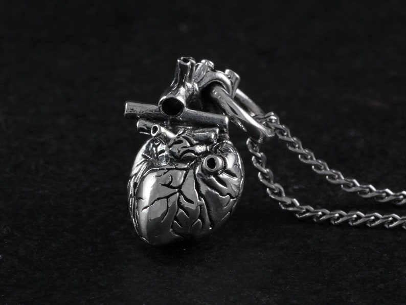 Op de afbeelding: Een zilveren anatomisch hart hanger ketting met een gedetailleerd, getextureerd ontwerp. Het hart is bevestigd aan een zilveren ketting.