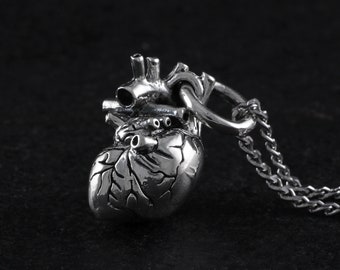 May include: A silver anatomical heart pendant necklace. The heart is detailed with veins and arteries. The necklace is made of a silver chain.