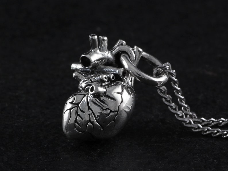 Op de afbeelding: Een zilveren anatomisch hart hanger ketting. Het hart is gedetailleerd met aderen en slagaders. De ketting is gemaakt van een zilveren ketting.