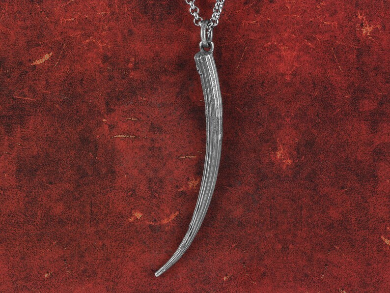 Tusk Necklace Sterling Silver Tusk Shell Pendant Silver Tusk Pendant image 5