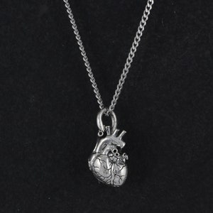 Op de afbeelding: Een zilveren ketting met een gedetailleerde anatomische hart hanger.