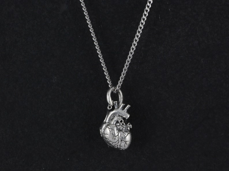 Op de afbeelding: Een zilveren ketting met een gedetailleerde anatomische hart hanger.