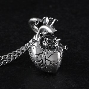 Op de afbeelding: Een zilveren anatomisch hart hanger ketting met een gedetailleerd ontwerp. De ketting heeft een delicate zilveren ketting.