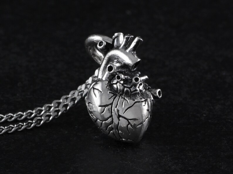 Op de afbeelding: Een zilveren anatomisch hart hanger ketting met een gedetailleerd ontwerp. De ketting heeft een delicate zilveren ketting.