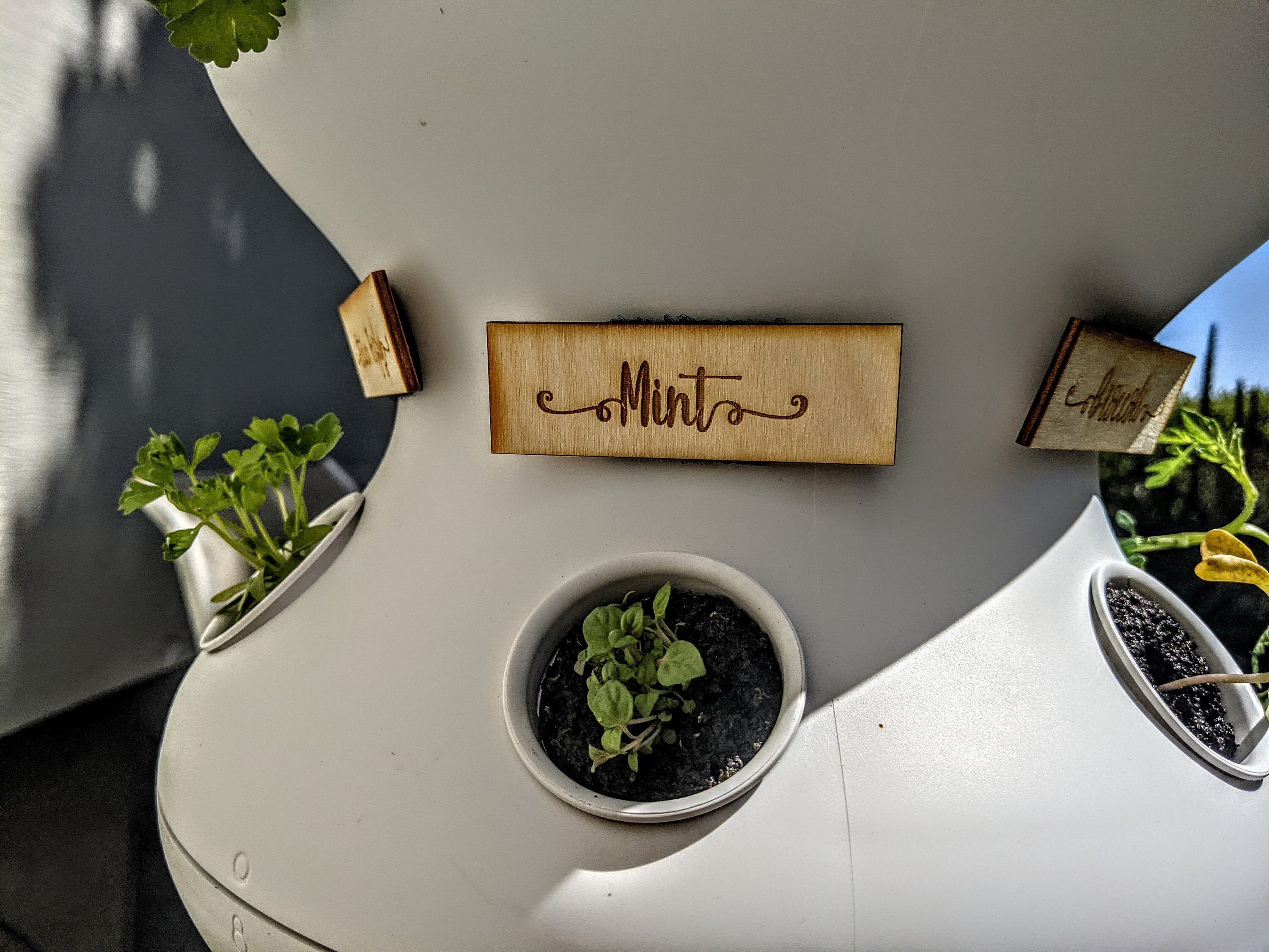 Custom Engraved Wood Farmstand Plant Labels Plant Markers Etsy