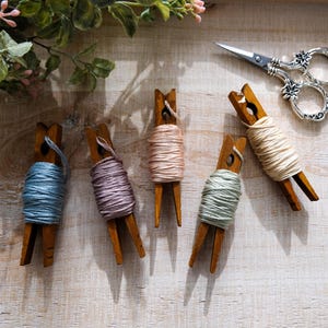 Spring Meadow DMC Embroidery Floss Palette: 5 Cotton Skeins