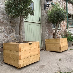May include: Two wooden planter boxes with olive trees in them. The planters are made of natural wood and are sitting on a concrete patio.