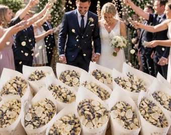 May include: A collection of white paper cones with intricate laser-cut patterns, each filled with a mixture of dried white flower petals and blue lavender buds, arranged on a wooden surface for a wedding celebration.