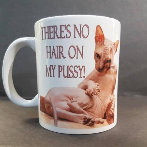 Sphynx Cat There S No Hair On My Pussy Funny Etsy Australia