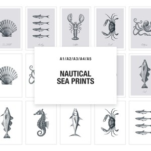 Può includere: Un set di 10 illustrazioni nautiche stampabili con varie creature marine, tra cui una conchiglia, un'aragosta, un granchio, un polpo, un pesce, un cavalluccio marino e un tonno. Le illustrazioni sono in bianco e nero e hanno uno stile vintage. A1/A2/A3/A4/A5 STAMPE MARINE NAUTICHE