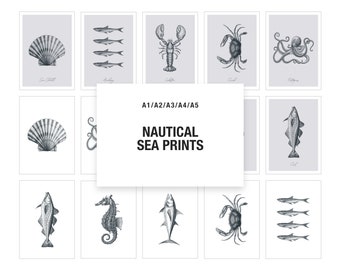 Digital Download Print | Set of Nautical Prints | Lobster | Crab | Fish | Cod | Sea Horse | Octopus | Sea Shell | Wall Art | 2 Versions