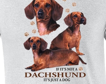 Dachshund Dog T-Shirt, If It's Not a Dachshund It's Just A Dog T-shirt