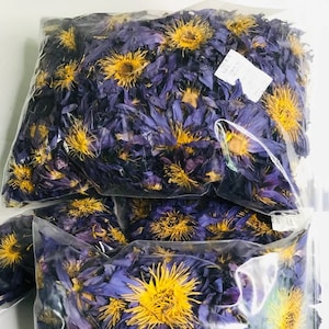 Blue lotus flower - Etsy 日本