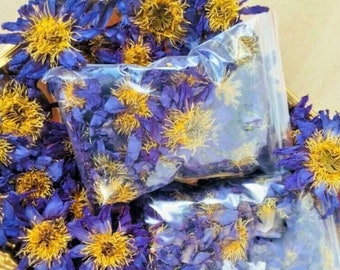 Dried Blue Lotus 1oz | Nymphaea Caerulea