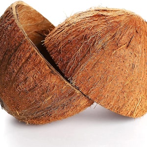 Puede incluir: Dos mitades de cáscara de coco marrón, con la cáscara fibrosa aún adherida. Las cáscaras están ligeramente abiertas, revelando el interior del coco.