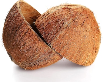100pc Kokosnoot Shell Half